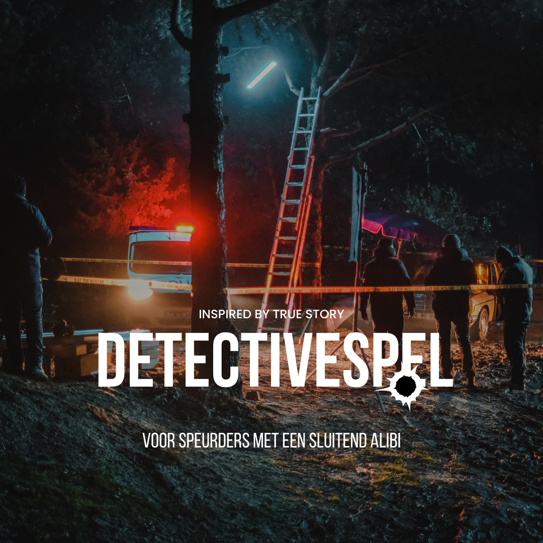 Het Detectivespel